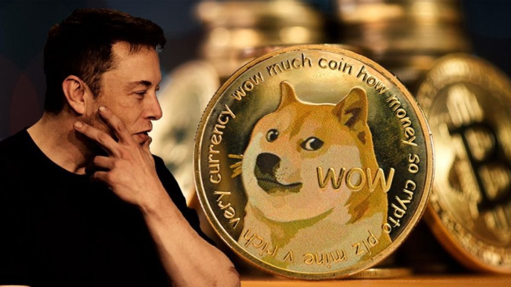 doge crypto