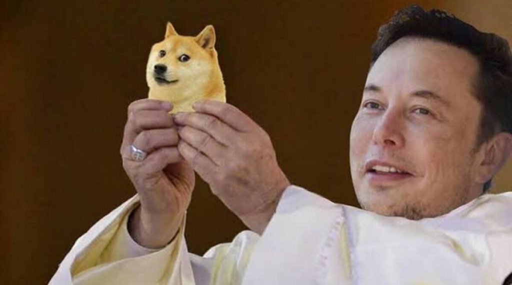 meme dogecoin elon musk